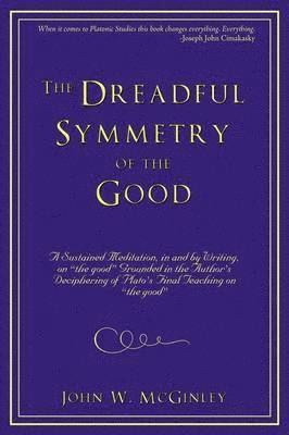 John W McGinley, John W. McGinley - Dreadful Symmetry of the Good, Häftad