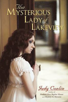bokomslag Mysterious Lady of Lakeview