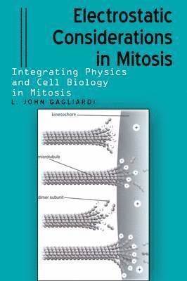 Electrostatic Considerations in Mitosis 1