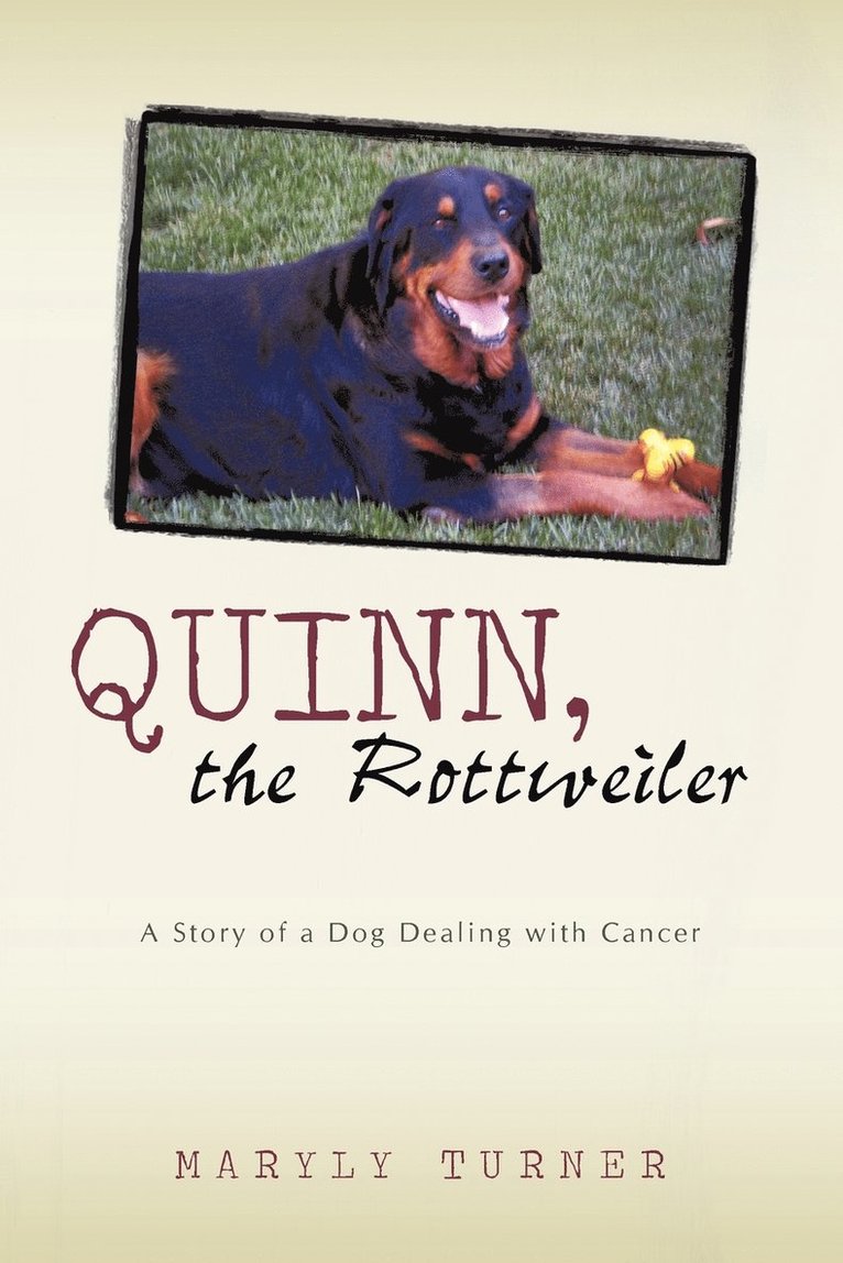 Quinn, the Rottweiler 1