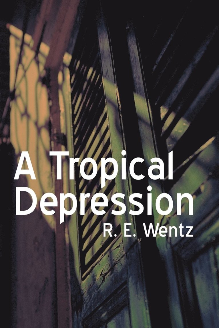 E Wentz R E Wentz, E. Wentz R. E. Wentz - Tropical Depression, Häftad