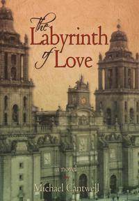 bokomslag The Labyrinth of Love