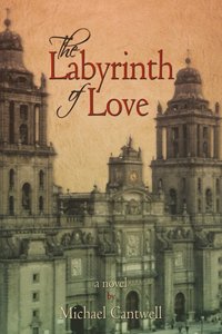 bokomslag The Labyrinth of Love