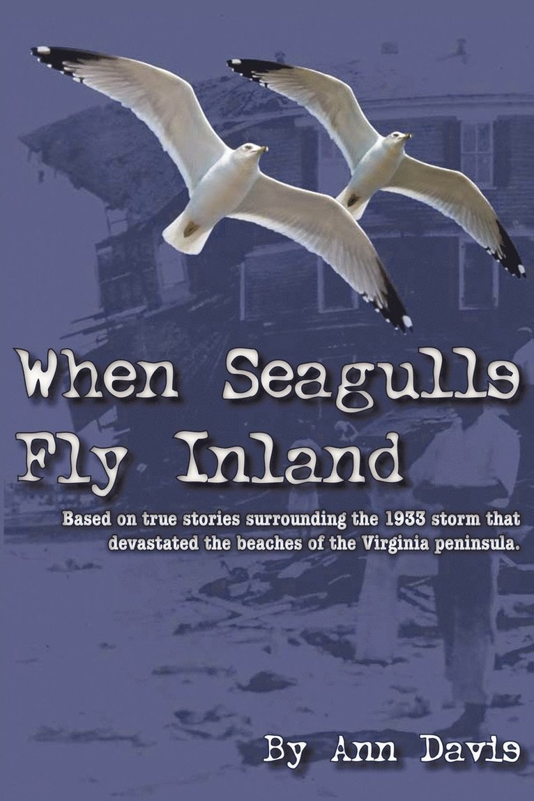 When Seagulls Fly Inland 1