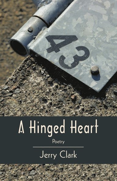 bokomslag Hinged Heart