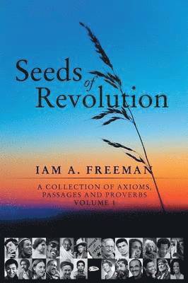 bokomslag Seeds of Revolution
