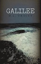 bokomslag Galilee