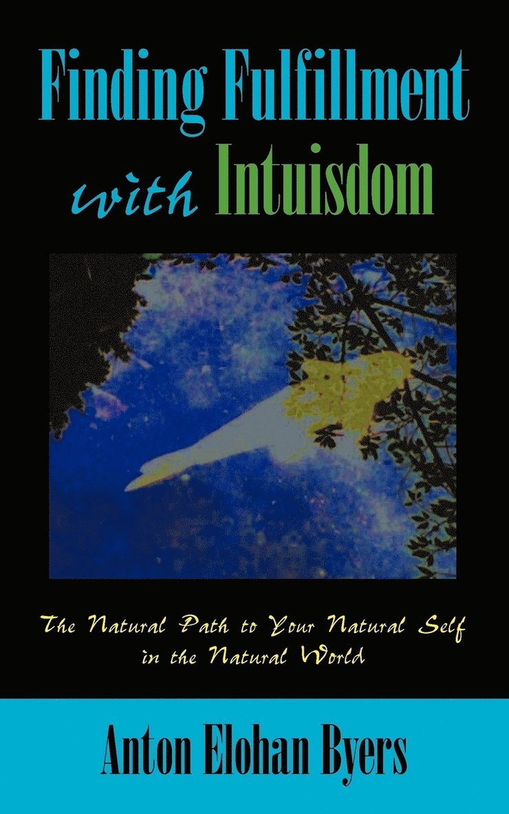 Finding Fulfillment with Intuisdom 1