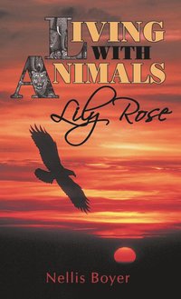 bokomslag Lily Rose