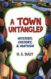 bokomslag Town Untangled