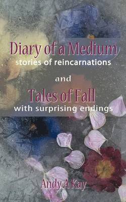 bokomslag Diary of a Medium- Stories of Reincarnations