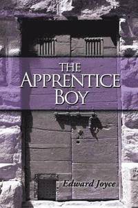 bokomslag The Apprentice Boy