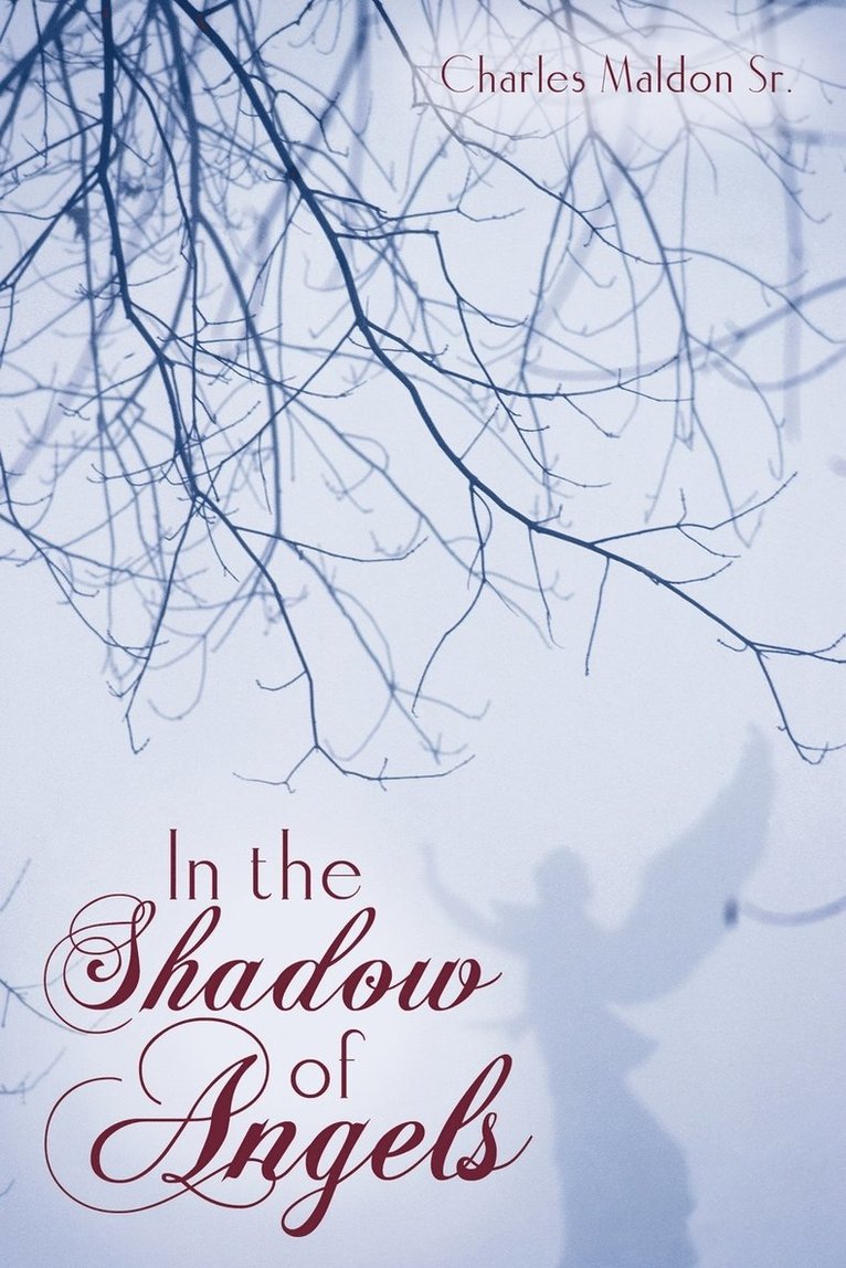 In the Shadow of Angels 1