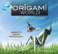 bokomslag Origami World: 40 Fun Paper-Folding Projects