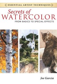 bokomslag Secrets of Watercolor - From Basics to Special Effects