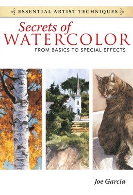 Secrets of Watercolor - From Basics to Special Effects 1