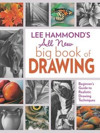 bokomslag Lee Hammond's All New Big Book of Drawing