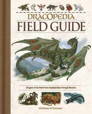 Dracopedia Field Guide 1