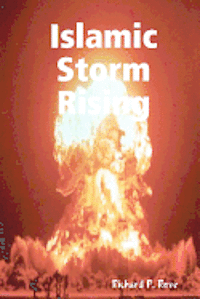 bokomslag Islamic Storm Rising