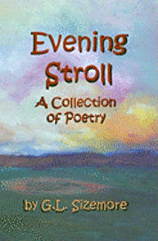 bokomslag Evening Stroll: A Collection Of Poetry