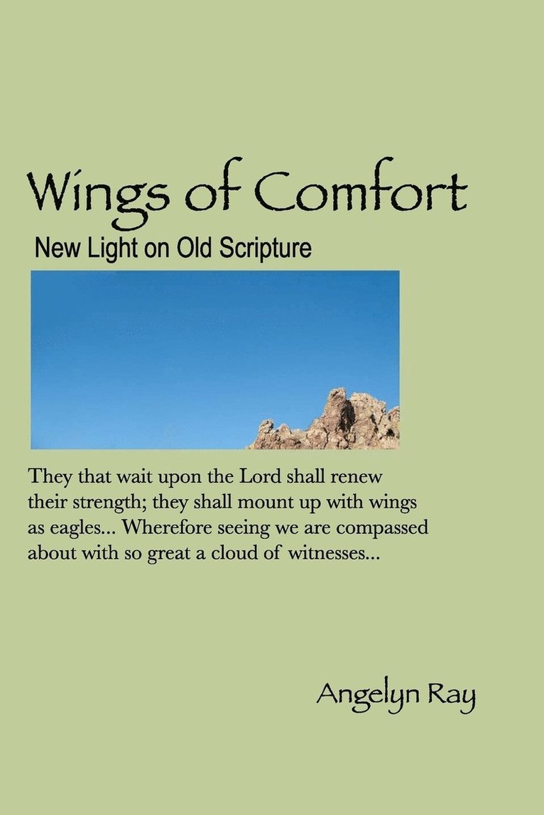 Wings Of Comfort 1