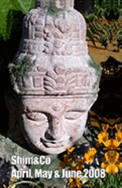 Syona L. Demaya - Shim&Co: April, May & June 2008, Häftad