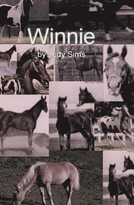 Winnie 1