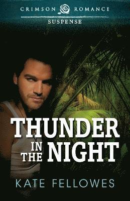 Thunder in the Night 1