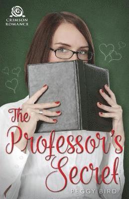 bokomslag Professor's Secret
