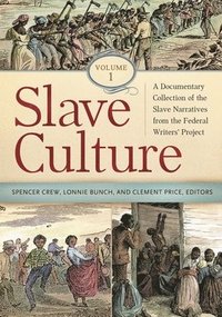 bokomslag Slave Culture