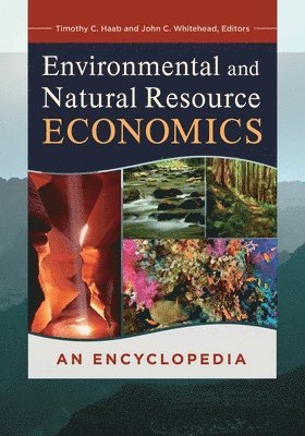 bokomslag Environmental and Natural Resource Economics