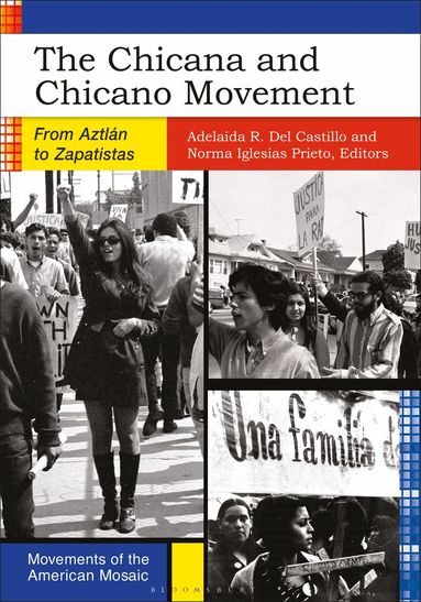 Adelaida R. Del Castillo, Norma Iglesias Prieto - Chicana and Chicano Movement, Inbunden