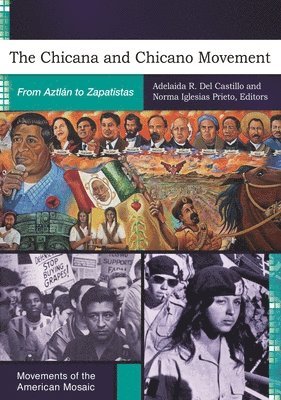 bokomslag The Chicana and Chicano Movement