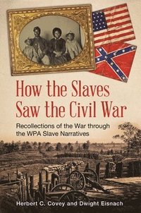 bokomslag How the Slaves Saw the Civil War