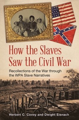 How the Slaves Saw the Civil War 1