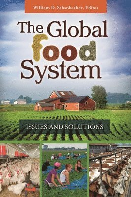 bokomslag Global Food System
