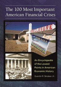 bokomslag The 100 Most Important American Financial Crises