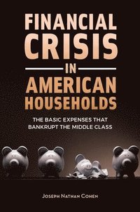 bokomslag Financial Crisis in American Households