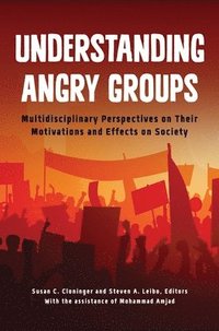 bokomslag Understanding Angry Groups