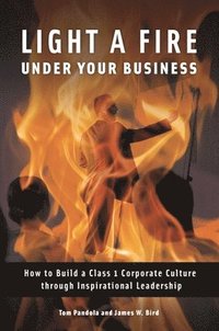 bokomslag Light a Fire under Your Business
