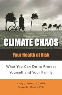 bokomslag Climate Chaos