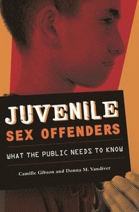 bokomslag Juvenile Sex Offenders