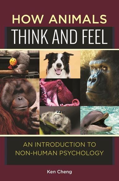 Ken Cheng - How Animals Think and Feel, Inbunden