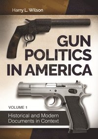 bokomslag Gun Politics in America