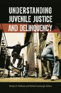 bokomslag Understanding Juvenile Justice and Delinquency