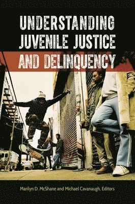 Understanding Juvenile Justice and Delinquency 1