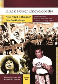 bokomslag Black Power Encyclopedia