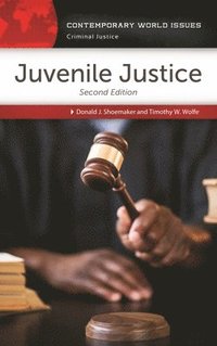 bokomslag Juvenile Justice