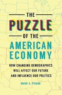 bokomslag The Puzzle of the American Economy