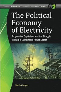 bokomslag The Political Economy of Electricity